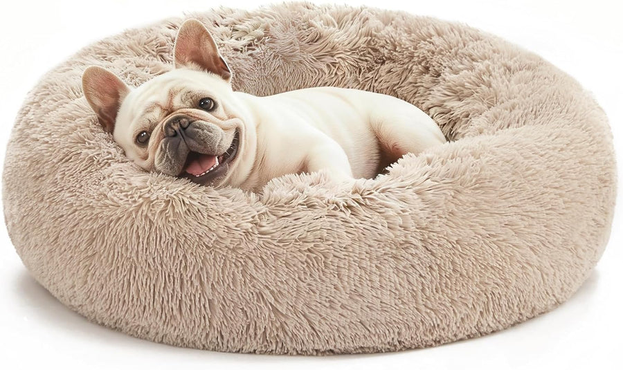 Beds & Comfort